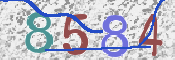 CAPTCHA-Bild