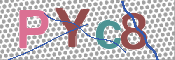 CAPTCHA-Bild