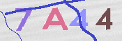 CAPTCHA-Bild