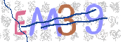 CAPTCHA-Bild